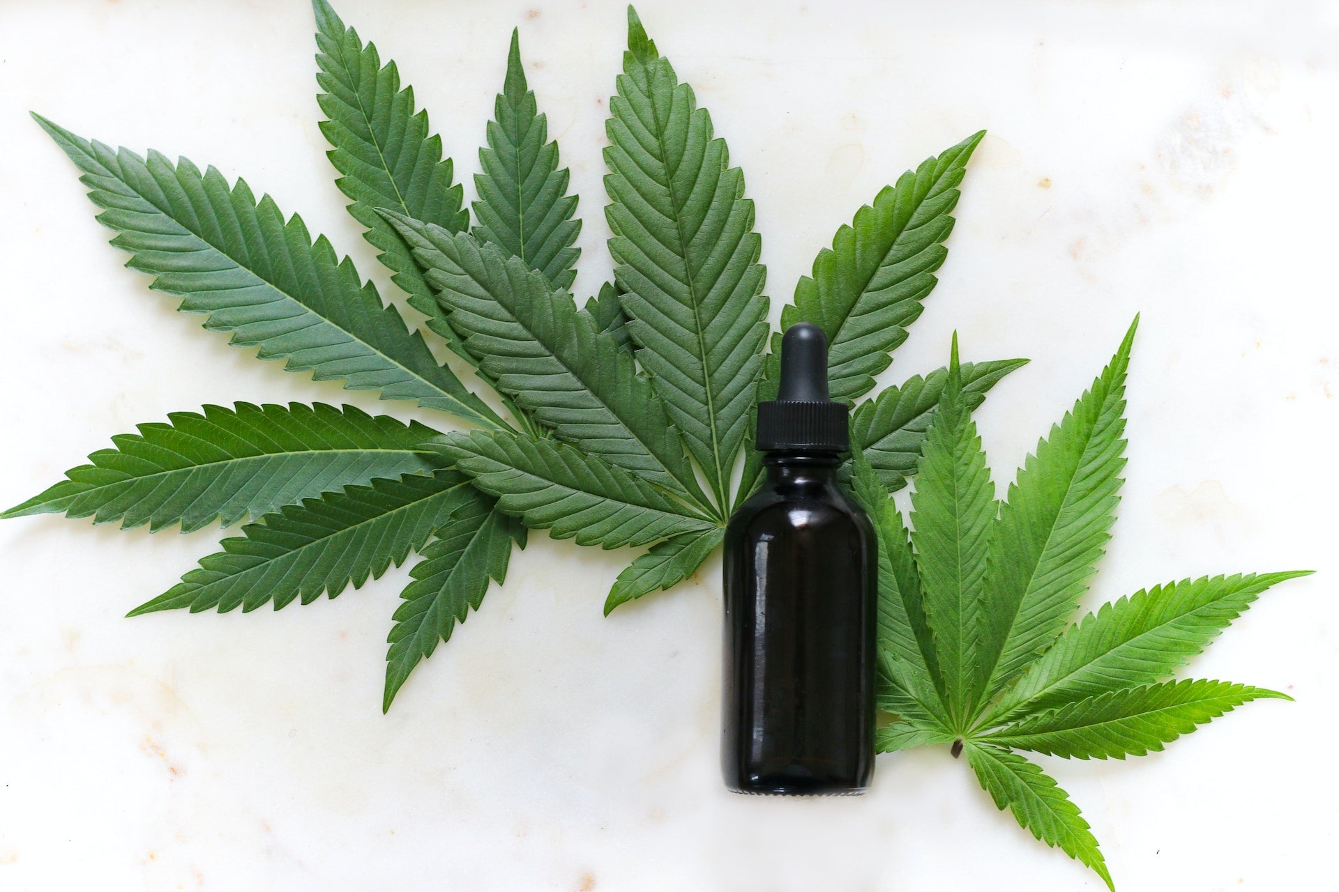 How Long Does CBD Stay In Your System: What You Should Know